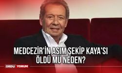 Medcezir'in Asım Şekip Kaya'sı öldü mü neden?