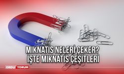 Mıknatıs neleri çeker? İşte mıknatıs çeşitleri