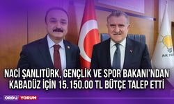 Naci Şanlıtürk, Gençlik ve Spor Bakanı'ndan Kabadüz İçin 15.150.00 TL Bütçe Talep Etti