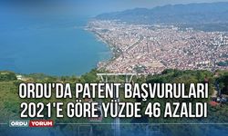 Ordu, Samsun, Trabzon ve Giresun'un gerisinde kaldı! Ordu'da patent başvuruları 2021'e göre yüzde 46 azaldı