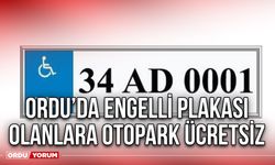 Ordu’da Engelli Plakası Olanlara Otopark Ücretsiz