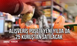 Alışveriş Poşeti Yeni Yılda da 25 Kuruştan Satılacak