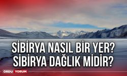 Sibirya nasıl bir yer? Sibirya dağlık mıdır?