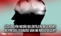 Sisli beyin nedir belirtileri nelerdir? Beyin Sisi tedavisi var mı nasıl geçer?