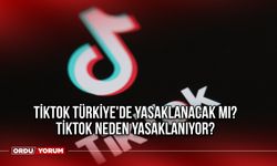 TikTok Türkiye'de yasaklanacak mı? Tiktok neden yasaklanıyor?