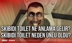 Skibidi Toilet ne anlama gelir? Skibidi Toilet neden ünlü oldu?