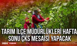 Tarım İlçe Müdürlükleri Hafta Sonu ÇKS Mesaisi Yapacak