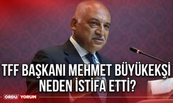 TFF başkanı Mehmet Büyükekşi neden istifa etti?