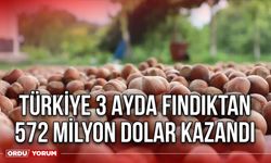 Türkiye 3 Ayda Fındıktan 572 Milyon Dolar Kazandı