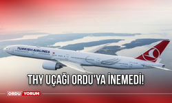 THY Uçağı Ordu'ya inemedi!