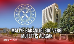 Maliye Bakanlığı 300 Vergi Müfettiş Alacak