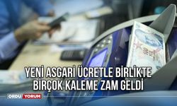 Yeni asgari ücretle birlikte birçok kaleme zam geldi