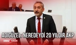 Adıgüzel: Neredeydi 20 Yıldır AKP