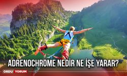 Adrenochrome nedir ne işe yarar?