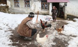 Ahmet dede ve Raziye nine ömürlerinin 66 yılını hayvancılığa verdi