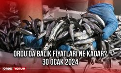 Ordu'da Güncel Balık Fiyatları Ne Kadar? 30 Ocak 2024