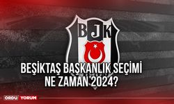 Beşiktaş başkanlık seçimi ne zaman 2024?