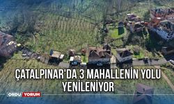 Çatalpınar'da 3 mahallenin yolu yenileniyor