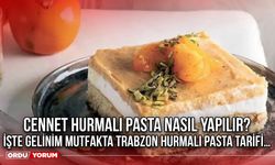 Cennet Hurmalı Pasta Nasıl Yapılır? İşte Gelinim Mutfakta Trabzon Hurmalı Pasta Tarifi…