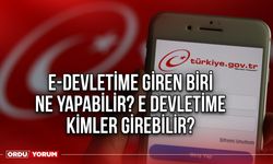 E devletime giren biri ne yapabilir? E devletime kimler girebilir?