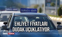 Ehliyet fiyatları dudak uçuklatıyor