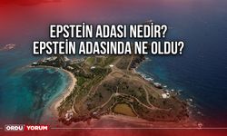 Epstein adası nedir? Epstein adasında ne oldu?