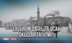 Erzurum'da Kar Yağışı Nedeniyle Okullar Tatil Mi? Erzurum'da 15-16 Ocak Okullar Tatil Mi?