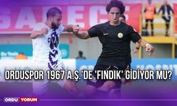 Orduspor 1967 A.Ş.'de 'Fındık' Gidiyor Mu?