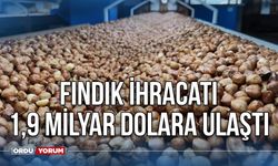 Fındık İhracatı, 1,9 milyar Dolara Ulaştı