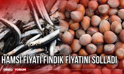 Hamsi Fiyatı Fındık Fiyatını Solladı