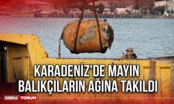 Karadeniz'de Mayın Balıkçıların Ağına Takıldı