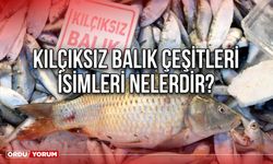 Kılçıksız Balık Çeşitleri İsimleri Nelerdir?