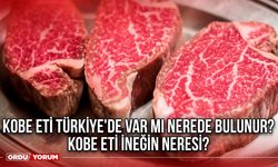 Kobe eti Türkiye'de var mı nerede bulunur? Kobe eti ineğin neresi?