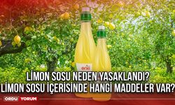 Limon sosu neden yasaklandı? Limon sosu içerisinde hangi maddeler var?