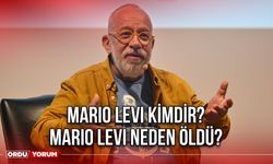 Mario Levi Kimdir? Mario Levi Neden Öldü?