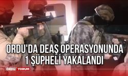 Ordu'da DEAŞ Operasyonunda 1 Şüpheli Yakalandı