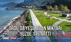 Ordu'da Yeşil Alan Miktarı Yüzde 116 Arttı