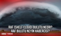 Raf (Shelf Cloud) Bulutu Nedir? Raf Bulutu Neyin Habercisi?