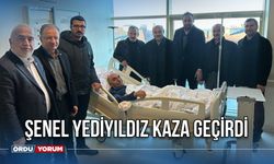 Şenel Yediyıldız Kaza Geçirdi