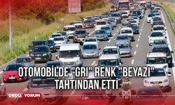 Otomobilde "gri" renk "beyazı" tahtından etti