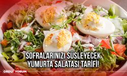 Sofralarınızı süsleyecek Yumurta Salatası tarifi!