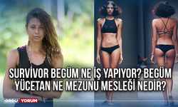 Survivor Begüm ne iş yapıyor? Begüm Yücetan ne mezunu mesleği nedir?