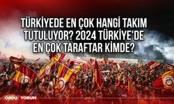Türkiyede en çok hangi takım tutuluyor? 2024 Türkiye'de en çok taraftar kimde?