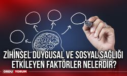 Zihinsel duygusal ve sosyal sağlığı etkileyen faktörler nelerdir?