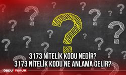 3173 nitelik kodu nedir? 3173 nitelik kodu ne anlama gelir?