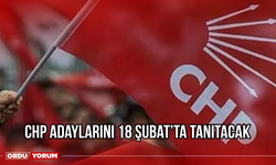 CHP Adaylarını 18 Şubat'ta Tanıtacak