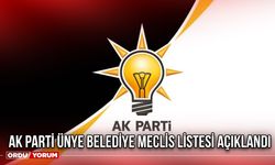 AK Parti Ünye Belediye Meclis listesi açıklandı