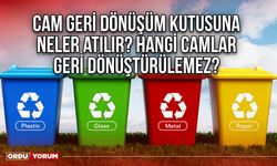 Cam geri dönüşüm kutusuna neler atılır? Hangi camlar geri dönüştürülemez?