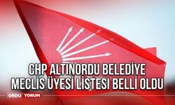 CHP Altınordu Belediye Meclis Üyesi Listesi Belli Oldu