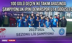 100 Golü Geçen İki Takım Arasında Şampiyonluk İpini Demirspor U14 Göğüsledi